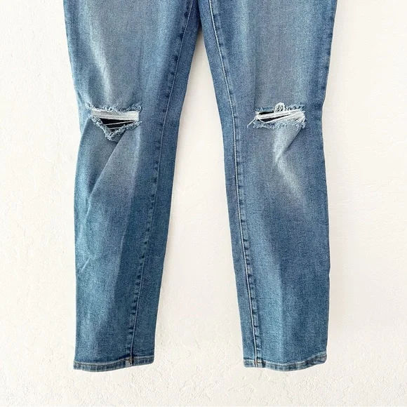 LF Lover's & Friends Ricky Low Rise Stretch Distressed Knee Skinny Jeans31